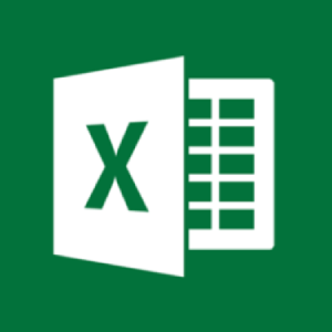 Excel Logo